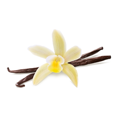 Vanilla flower and vanilla bean pods